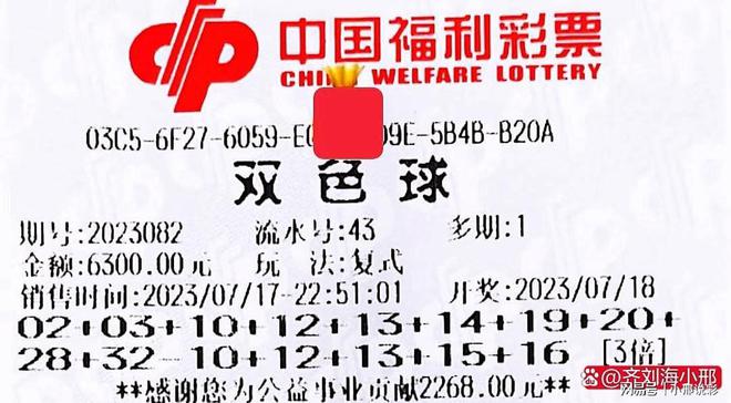 双色球208期，梦想与幸运的璀璨碰撞之旅