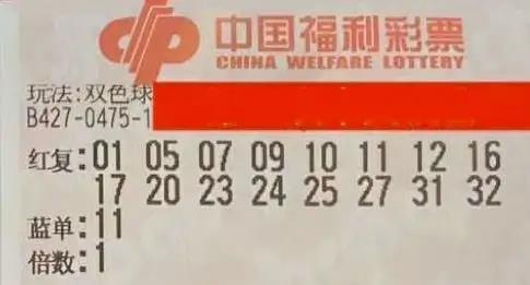 2013年双色球第4期开奖揭秘，梦想与幸运的碰撞之旅（CSP_SSQ-KJGJTJJT)