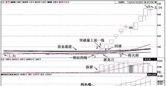 揭秘排列三和值尾振幅走势，彩经网数据背后的深度解析与洞察力