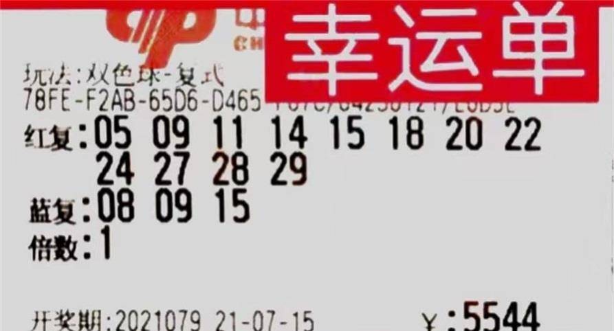 2019新春首注双色球，梦想与希望的碰撞——探秘中国福利彩票的奇迹之旅