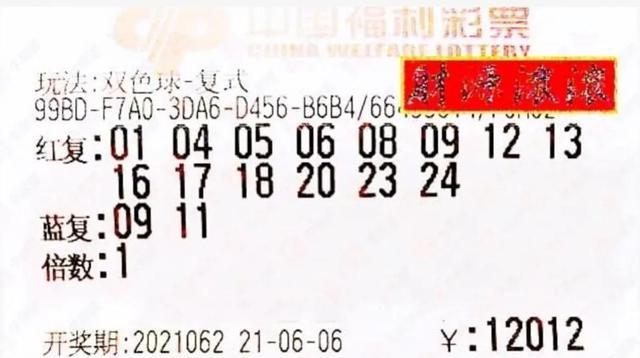 双色球43期揭秘与第50期的神秘号码展望，探寻数字背后的秘密趋势？