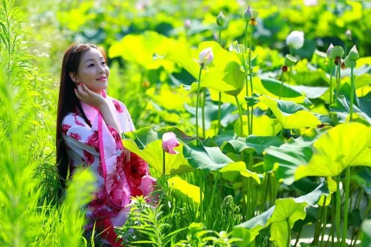 蓝仙子轻语，三码定音，十里荷花香满溢的诗意盛景