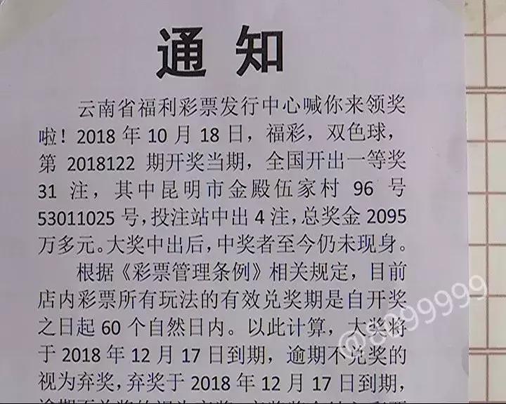 洞悉双色球2095期趋势，智选幸运数字，专业推荐助您中奖！