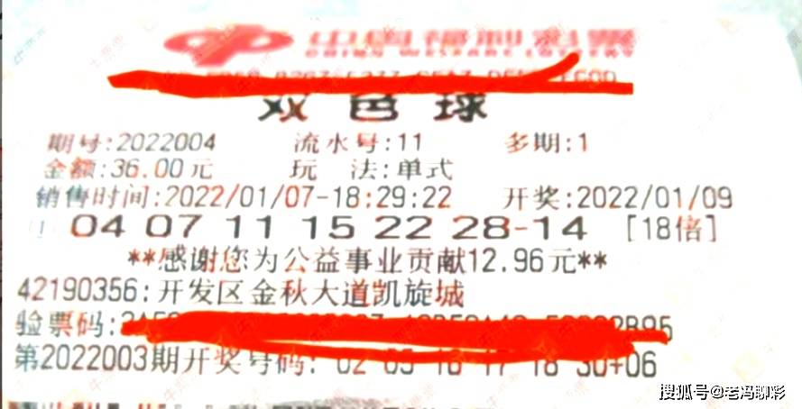 2039年福利双色球，公益与梦想的双重奏响——探索中国彩票新变化与发展趋势。