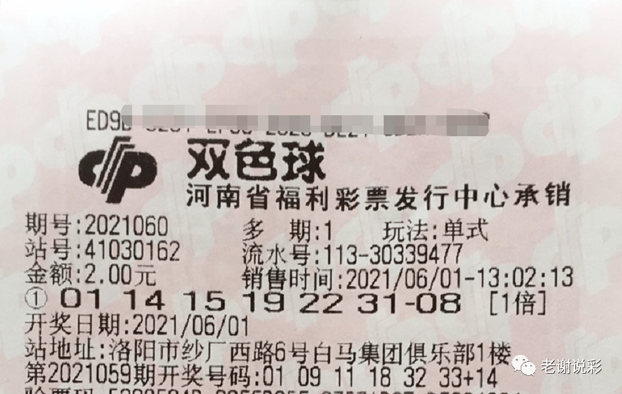 牛彩网上的排三字谜，智慧与乐趣的碰撞