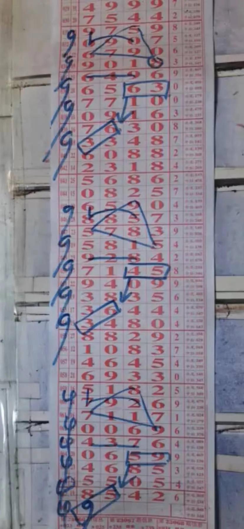 揭秘够力排列五,开奖号码背后的奥秘与乐趣之旅