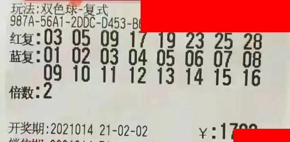 2019年双色球第4期开奖揭秘，幸运与希望的璀璨碰撞之旅
