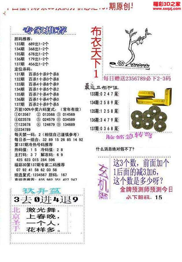 真实布衣,揭秘123456的背后故事