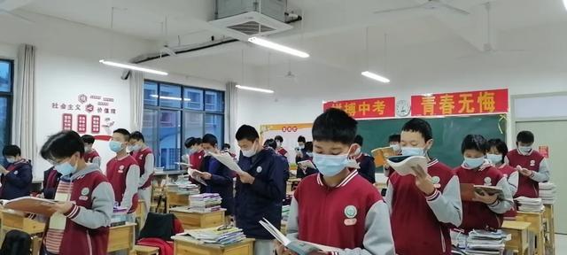 全年免费学习资源大放送，二四六全攻略指南！
