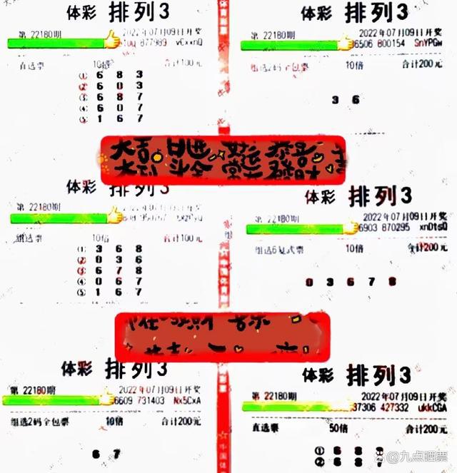 50D福彩3d分布图，揭秘数字背后的奥秘与乐趣之旅