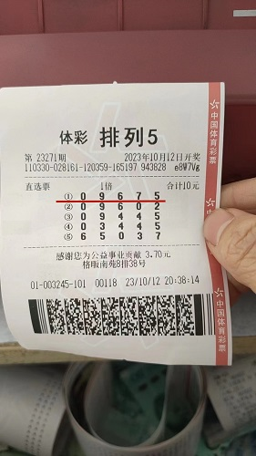 排列五在线随机选号器，便捷、公正与智慧的投注新选择