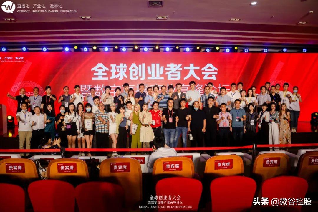 春雨直播，正版在线观看的魅力与价值探索之旅
