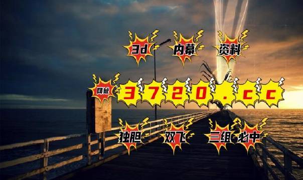 3D蜂巢配胆图，今晚的智慧之选，揭秘幸运密码！