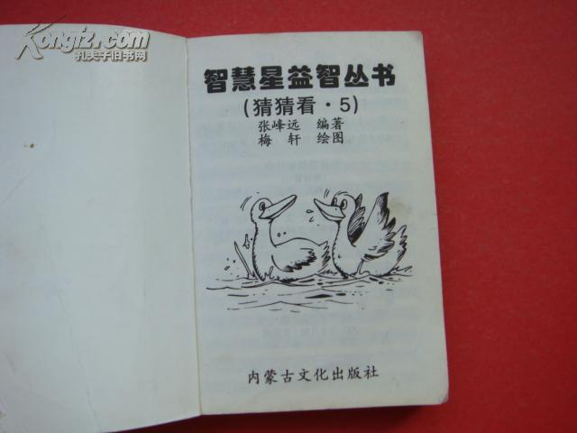 字谜过边关，老道智慧与解密乐趣的双重体验