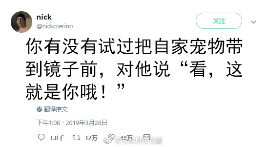 解开性别刻板印象，女性害羞的细腻情感之谜