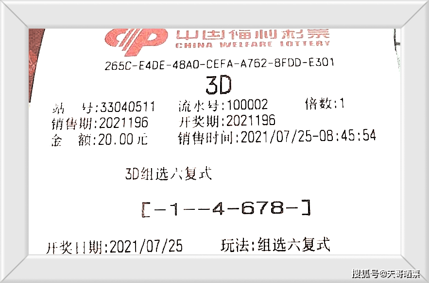揭秘124期3D彩票老道字谜，探索其背后的奥秘与技巧分析
