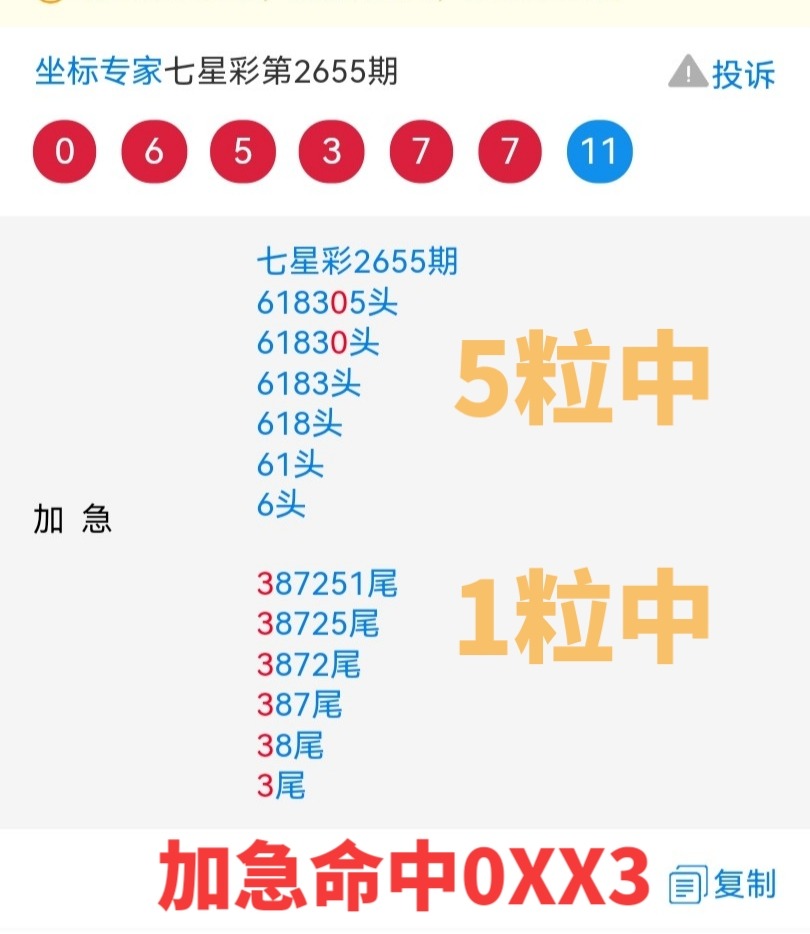揭秘七星彩第2305期开奖结果，数字背后的幸运与期待之旅